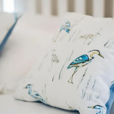 Csenge 2. * Σίοφοκ