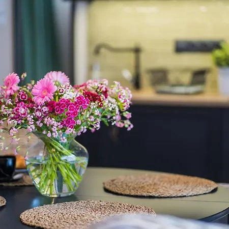 Csenge 2. * Σίοφοκ