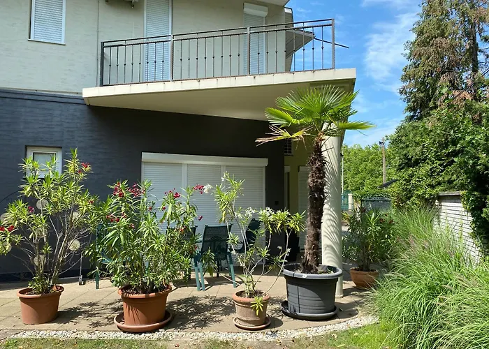 Csenge 2. シオーフォク